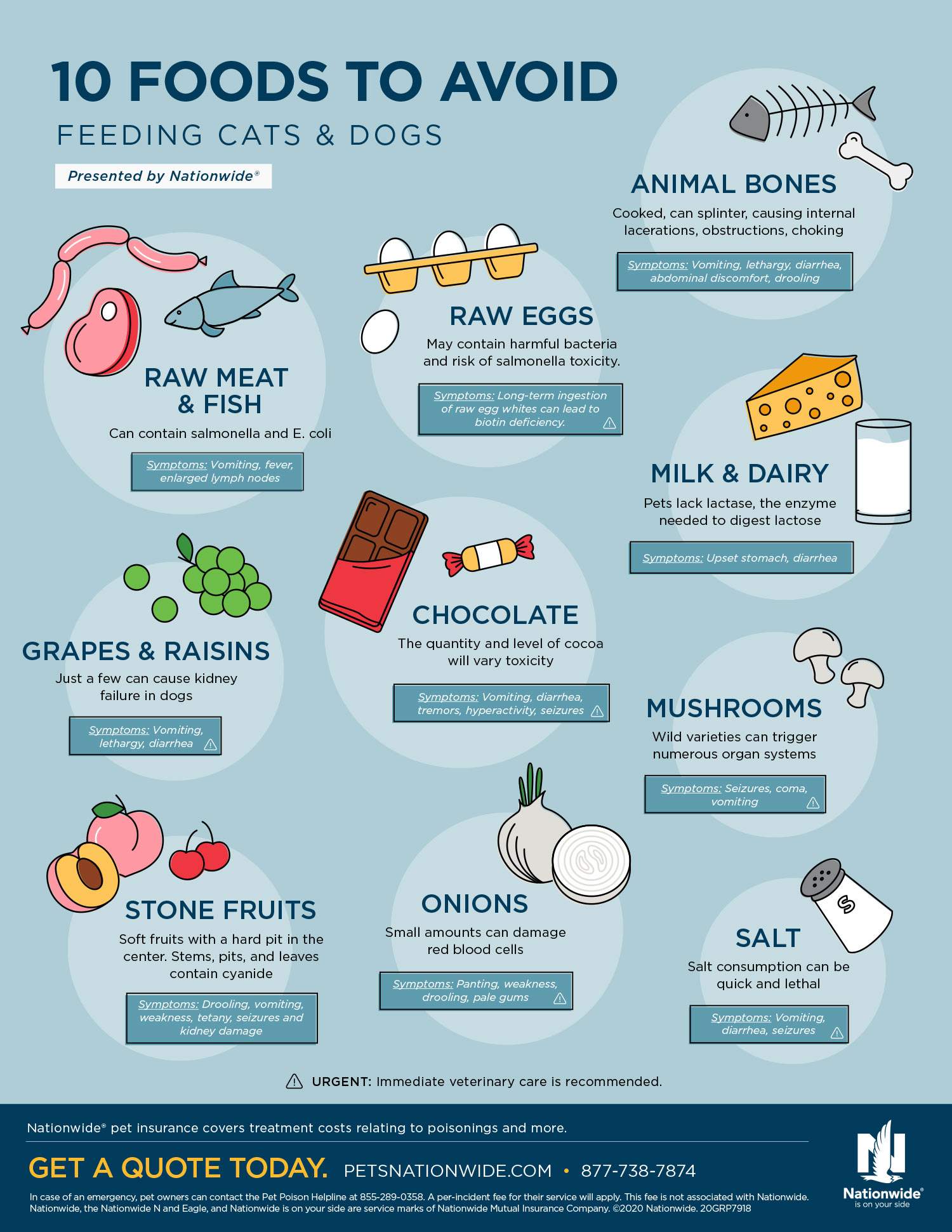 Foods to Avoid Feeding Your Pet The HR Pet Press