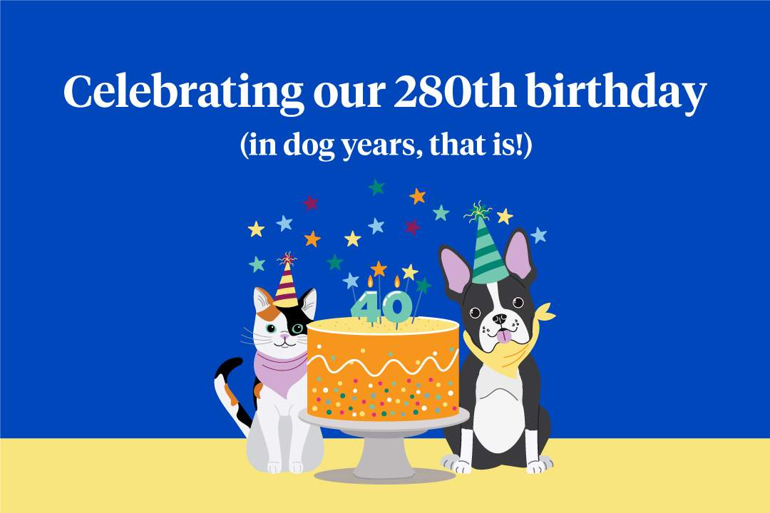 Nationwide celebrates 280th birthday - in dog years