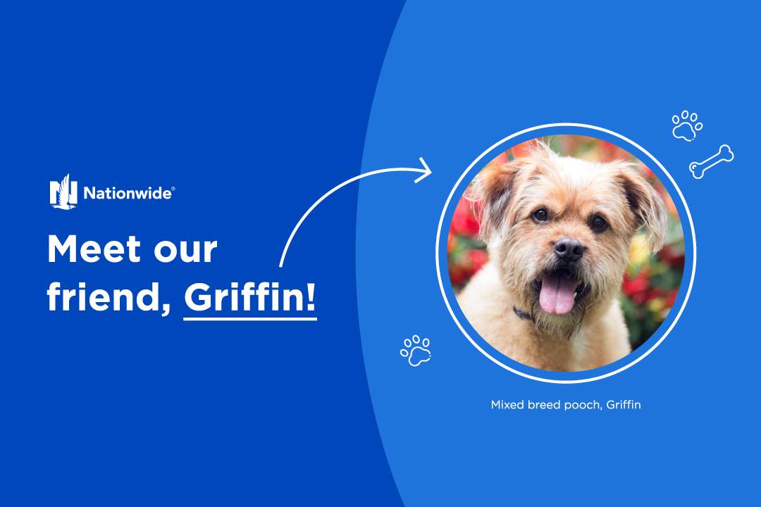 Meet our friend Griffin