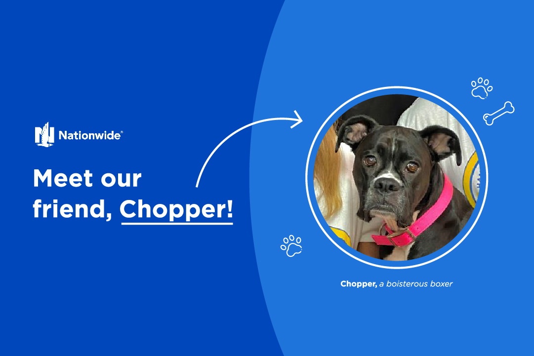 meet our friend chopper